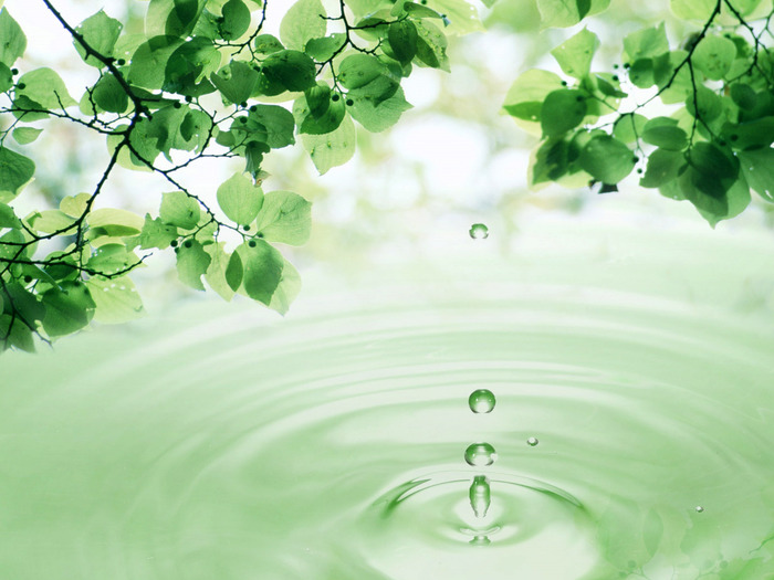 3D_Leaves_and_Water_Drop (700x525, 110Kb)
