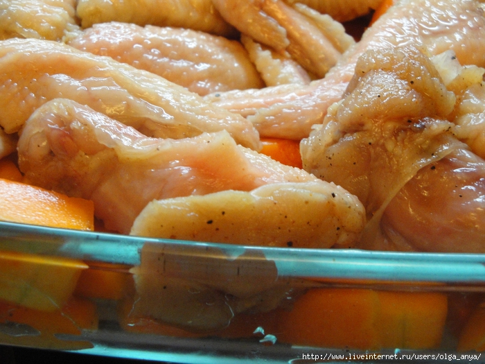 DSC03588 (700x525, 308Kb)