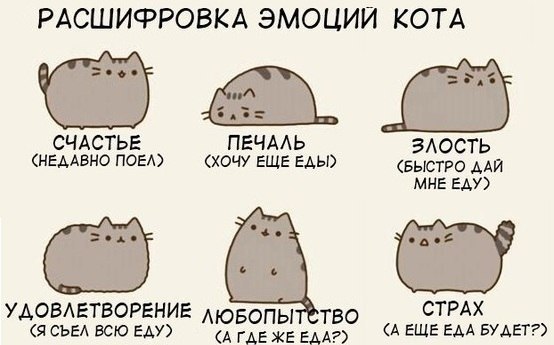 Книга Веков: Квантовый Переход или Новый Мировой Порядок Киста на десне лечение, фото, причины возникновения