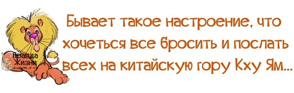 http://img0.liveinternet.ru/images/attach/c/10/108/646/108646158_large_1388604792_frazochki5.jpg