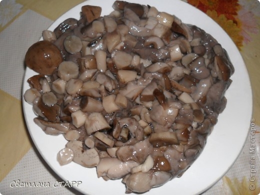 Картофельники с грибами (1) (520x390, 116Kb)
