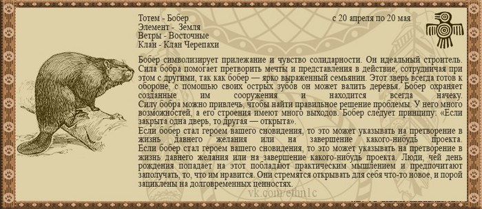 зарплат как узнать свой тотемное животное Дальнереченск-Дальнегорск отправляется