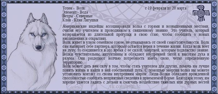 как узнать свой тотемное животное большеголовые
