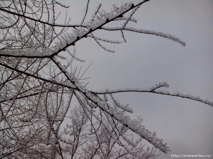 3106679_IMG_20131230_122543 (700x525, 326Kb)