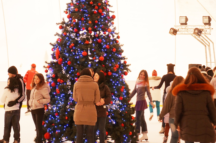 DSC02894 (700x464, 332Kb)