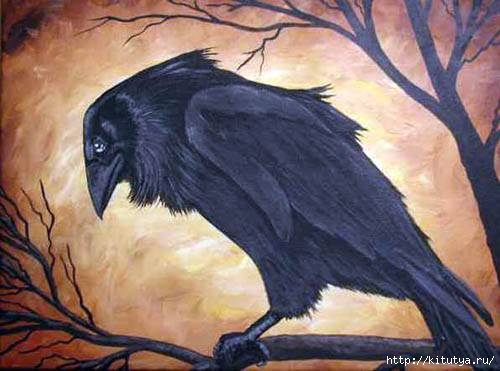 raven_21 (500x371, 103Kb)