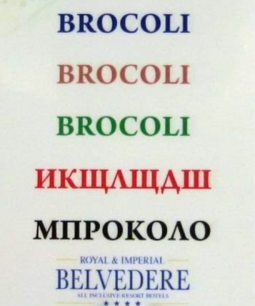 3024305-R3L8T8D-500-b1 (500x600, 75Kb)