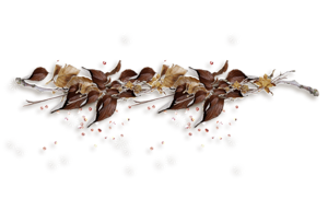 0c241318ab7ed47ce1d0de0a1138b04e (300x183, 44Kb)