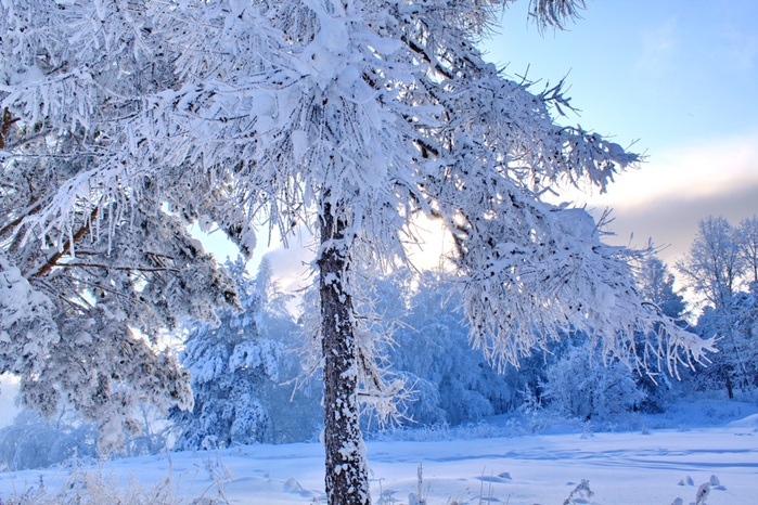 3303834_winter_2 (700x466, 175Kb)