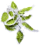000- (154x176, 13Kb)