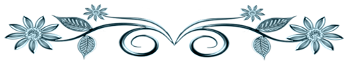 0000000000000000000000000000 (500x96, 59Kb)