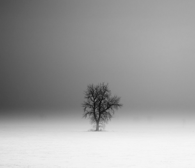 DerekToye1 (680x585, 64Kb)