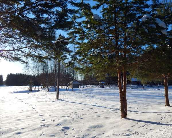 5488008_DSCN4105 (600x483, 192Kb)