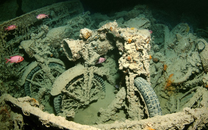 Водолазы исследовали кораблекрушение Тистлегорма в Красном море