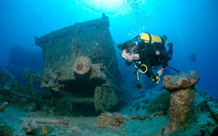 Водолазы исследовали кораблекрушение Тистлегорма в Красном море