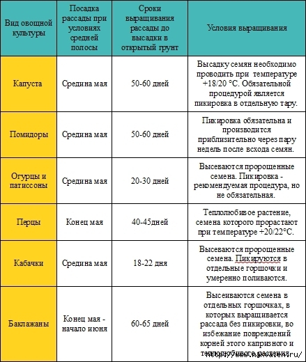 Когда сажать на рассаду огурцы для открытого грунта в средней полосе 34