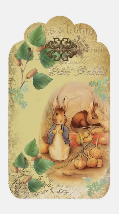 4964063_peter_rabbit_2 (388x700, 74Kb)