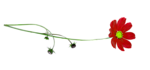 98873148_0_bc25d_addaa17f_S (150x70, 9Kb)