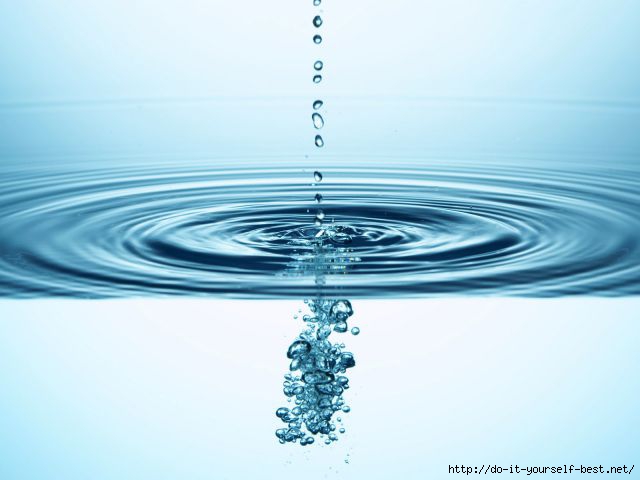 102202625_large_1057785_640x480 (640x480, 94Kb)