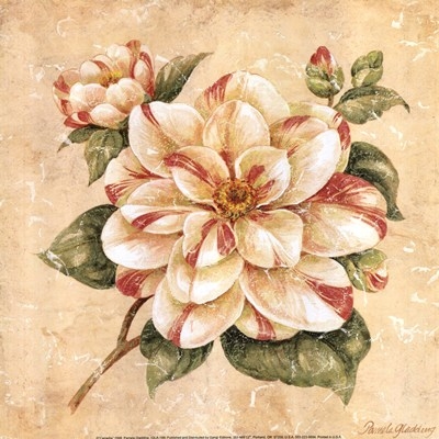 camellia-by-pamela-gladding (400x400, 124Kb)
