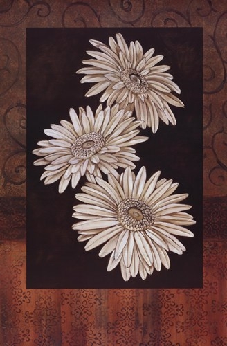 santorini-daisies-by-paul-brent (328x500, 109Kb)