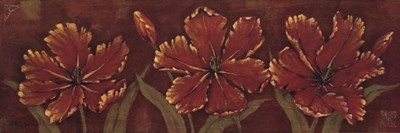 venetian-tulips-cs-by-paul-brent (400x133, 38Kb)