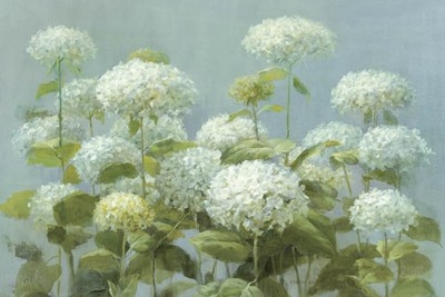 white-hydrangea-garden-by-danhui-nai-741273 (400x267, 66Kb)