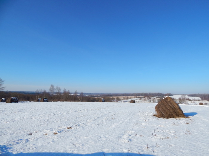 5488008_DSCN4244 (700x525, 107Kb)