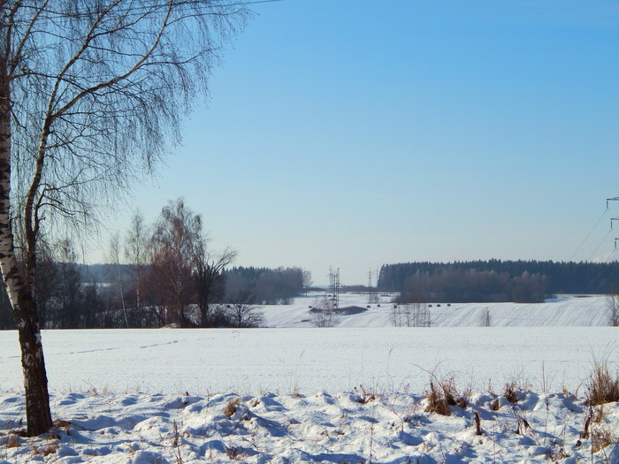 5488008_DSCN4238 (700x525, 165Kb)