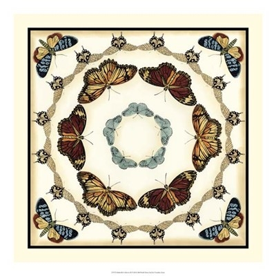 butterfly-collector-ii-by-chariklia-zarris-724834 (400x400, 107Kb)