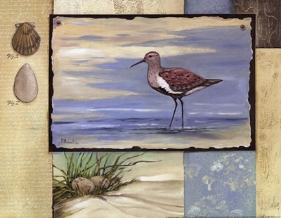 sandpiper-collage-ii-mini-by-paul-brent (400x310, 84Kb)