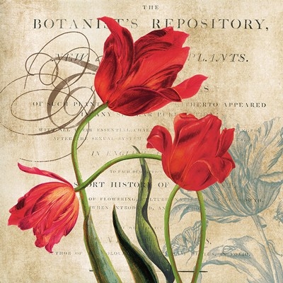 botanist-s-repository-by-carol-robinson-763985 (400x400, 139Kb)