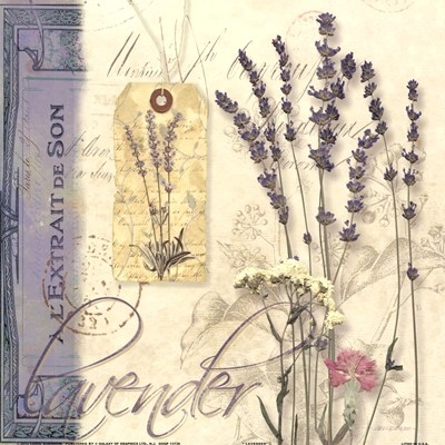 lavender-by-carol-robinson-708488 (400x400, 131Kb)