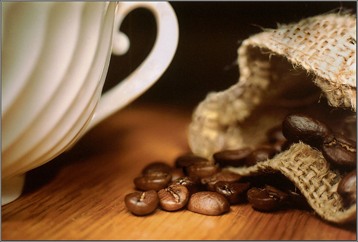 3862295_77409062_large_505650 (700x472, 106Kb)