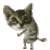   (50x50, 107Kb)
