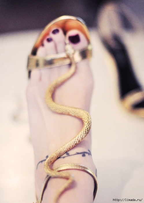 DIY-Gold-Snake-Serpent-Shoes-4-1 (498x700, 169Kb)