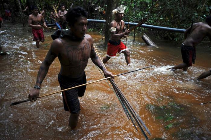 Охота на золотоискателей в джунглях Амазонки