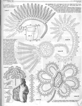  mod_5670041 (545x700, 371Kb)