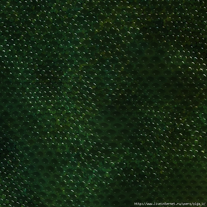 Reptile skins textures by DiZa (20) (700x700, 445Kb)