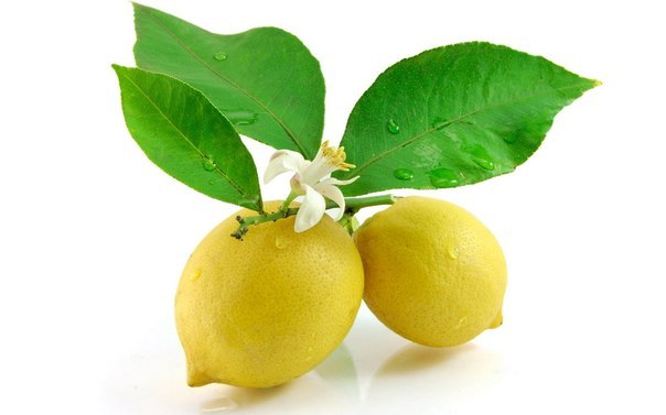 лимон (604x377, 29Kb)