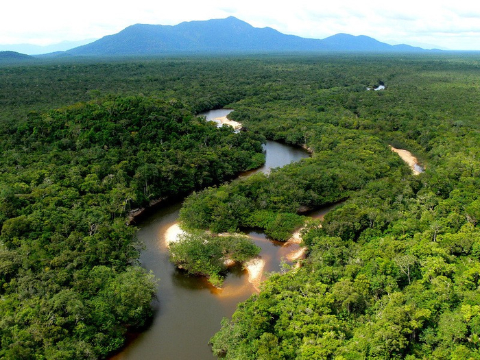 Amazonas02 (700x525, 537Kb)