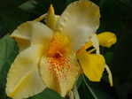  DSC05074 (700x525, 254Kb)