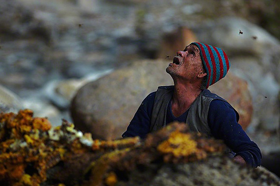 caçadores de mel Nepal foto 5 (570x380, 170kb)