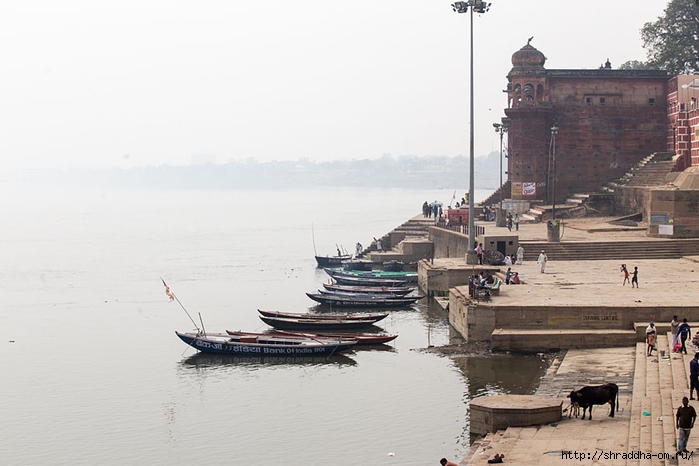 India Varanasi 2014 (15) (700x466, 188Kb)