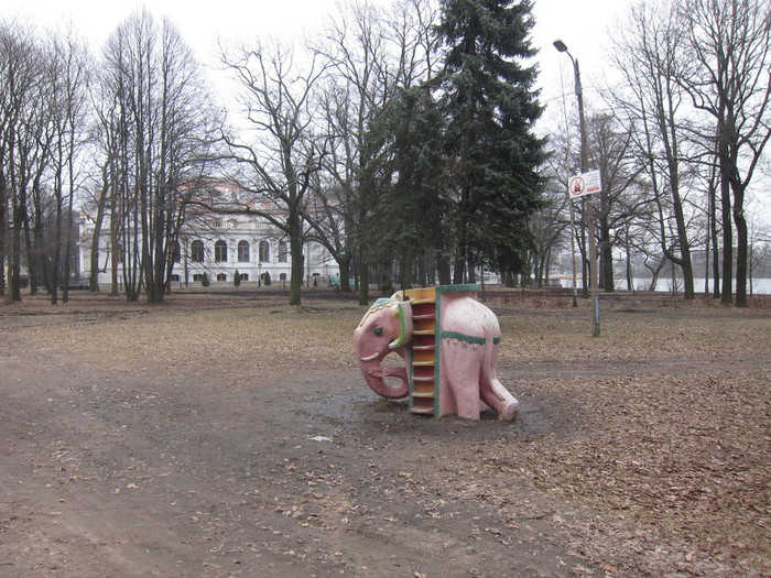 Натурализованный петербургский розовый слоник
