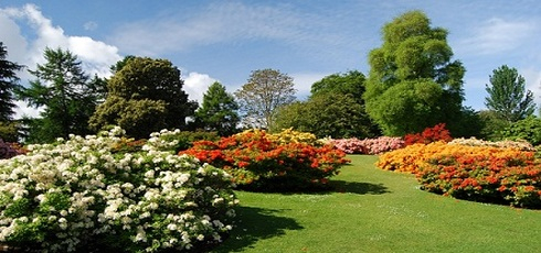 ботанический сад Здинбург 10 (490x230, 171Kb)