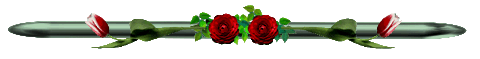 hr_100 (480x59, 8Kb)