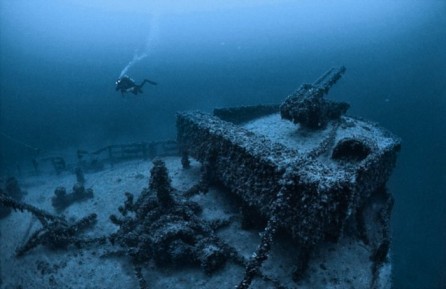5475934_446xFT (446x289, 28Kb)