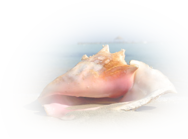 0_cafb2_cfb7c4f9_XL (379x282, 136Kb)