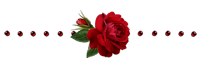 5182169_109810645_5227673_separateurd1_1_ (200x67, 8Kb)